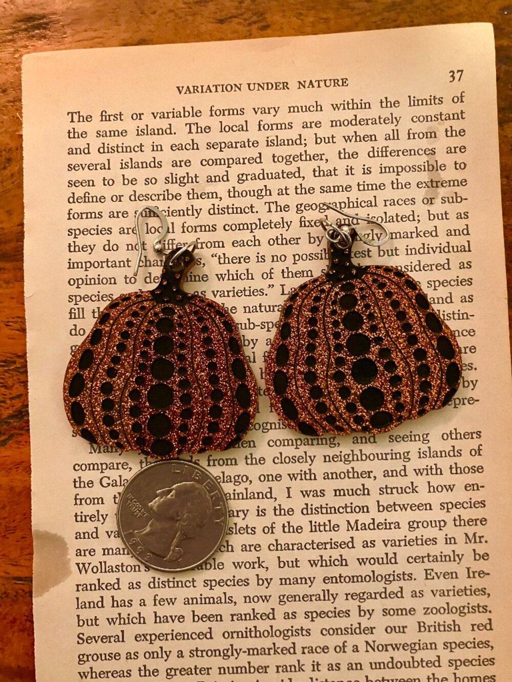 Pumpkin Earrings